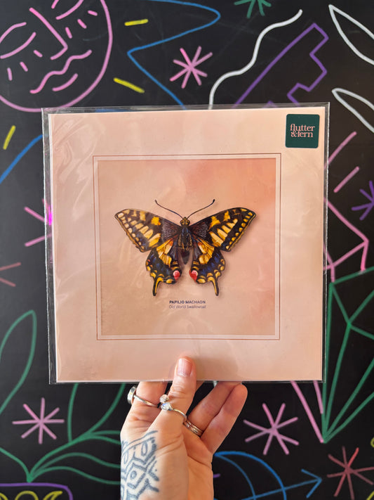 Papilio Machaon Print