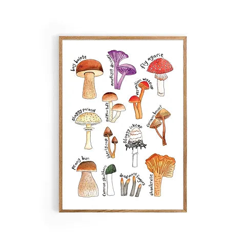 Mushrooms