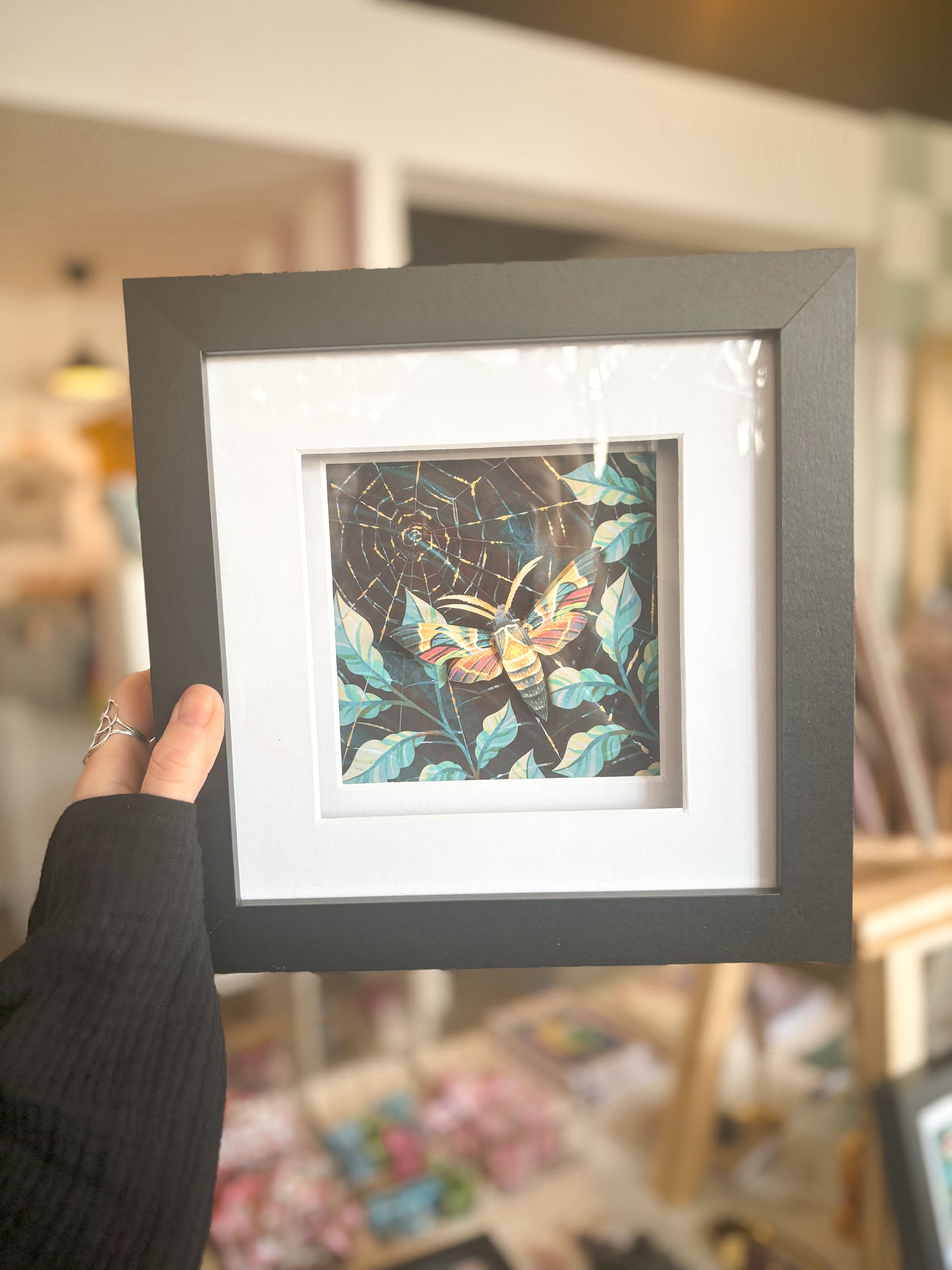 Moth & Web 3D Framed Print By Flutter & Fern