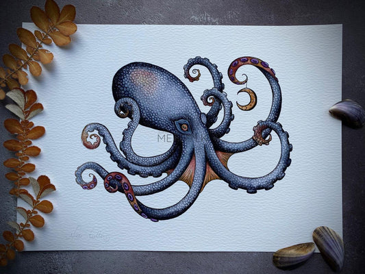 Celestial Octopus