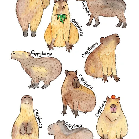 Capybara A4 Print