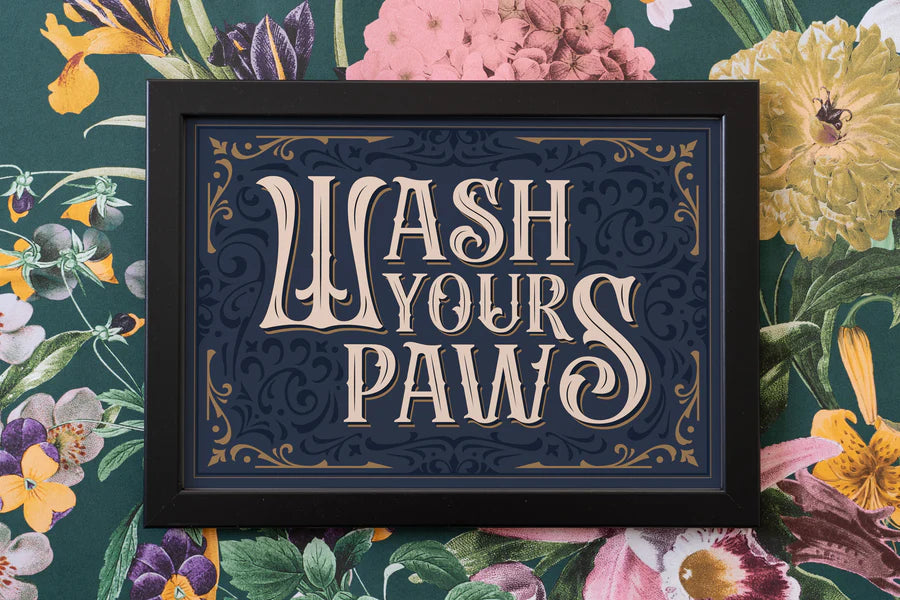 Wash Your Paws