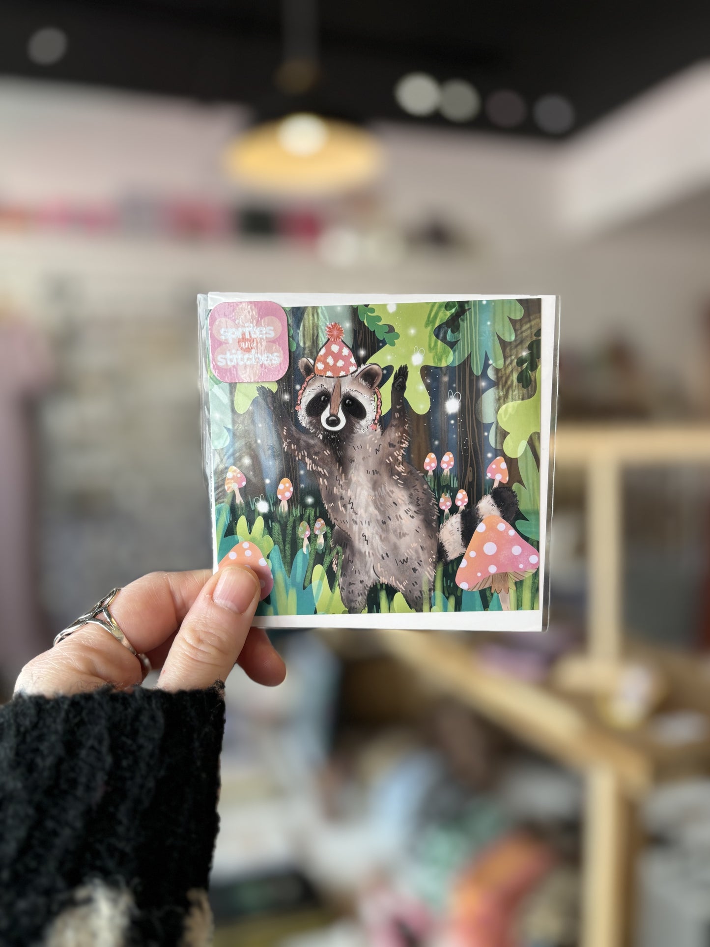 Party Raccoon
