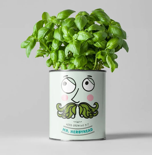 Mr Herbyhead - Herb Grow Tin