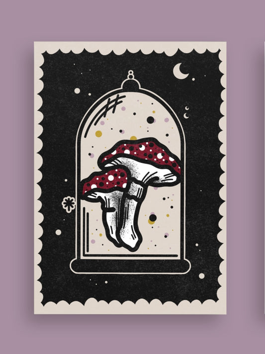 Mushrooms Postcard